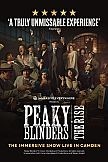 Peaky Blinders: The Rise